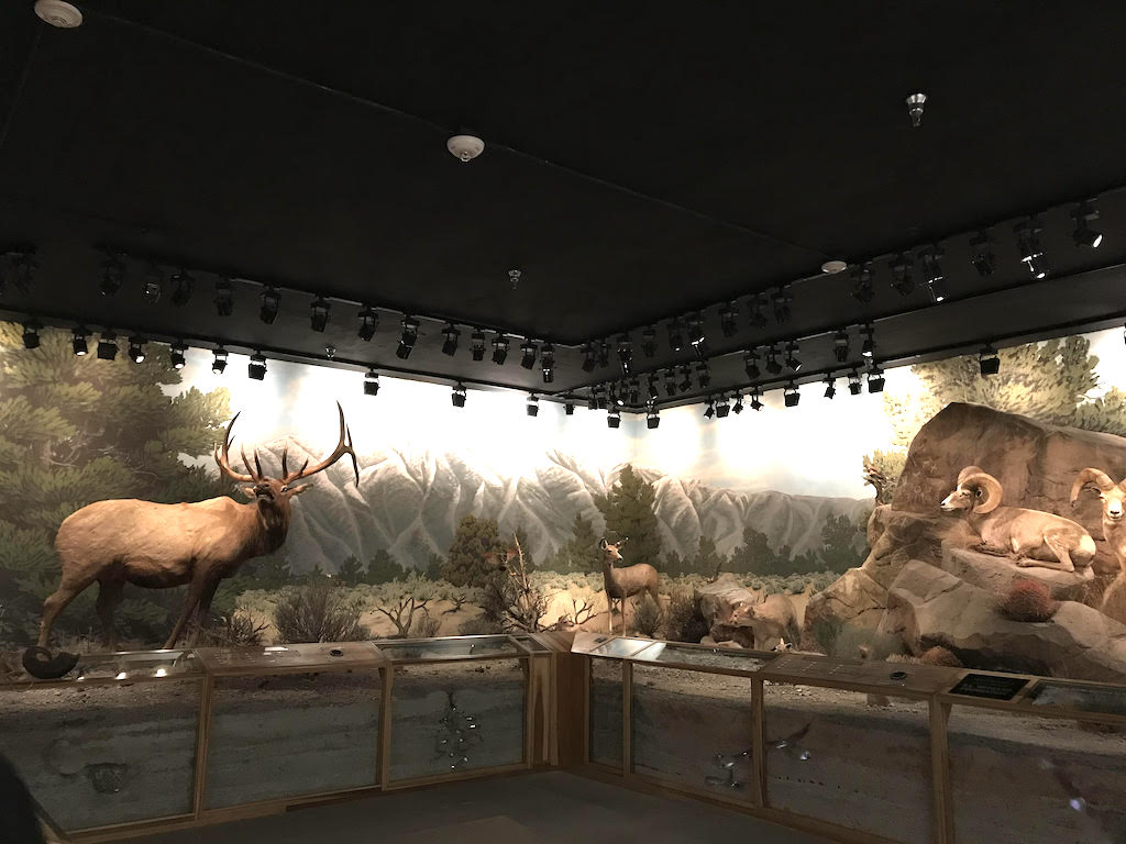 Bank of America Museums on Us